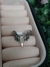 Anillo Puntal