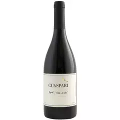 Guaspari Syrah Vista do Cha - comprar online