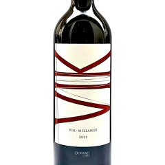 Vik Tinto 2021 na internet