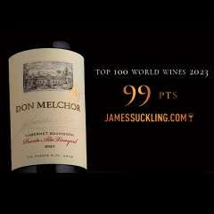 Don Melchor 2021 - Wine Of the Year Wine Spectator - comprar online