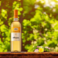 Casanova Di Neri IbBianco - comprar online