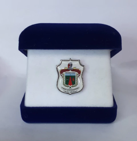 Pin Institucional Dorado Brillante Esmaltado y Resina