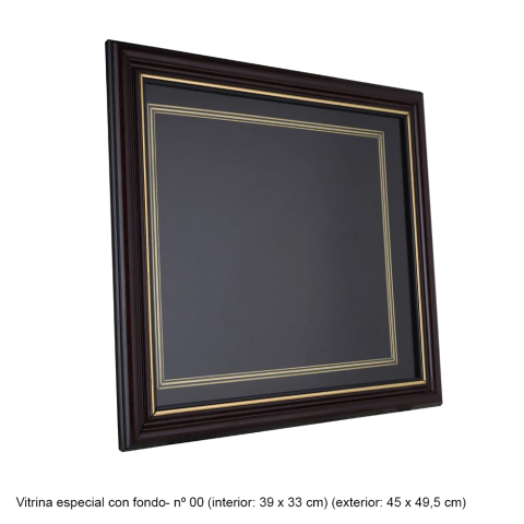 Vitrina Especial con Fondo 45x49,5