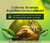 Carrossel 3