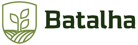 Batalha