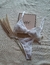 CONJUNTO LODY TRIANGULITO DE BRODERIE CON LESS REGULABLE - Chanas Clothes