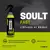 SOULT FAST LIMPADOR DE BOINA 500ML VONIXX - comprar online