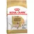 ROYAL CANIN LABRADOR ADULTO