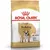 ROYAL CANIN BULLDOG INGLES ADULTO