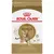 ROYAL CANIN CAT BENGAL