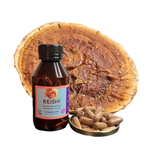 Reishi 0,20 g - comprar online