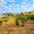 Lote - 700 M² - Playas De Oro - A Metros Del Rio - San Antonio De Arredondo