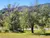 Lotes - Country Altos De Carlos Paz - Villa Carlos Paz - comprar online