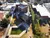 Casa - 4 Dormitorios 3 Baños - Pileta - Miguel Muñoz - Villa Carlos Paz - comprar online
