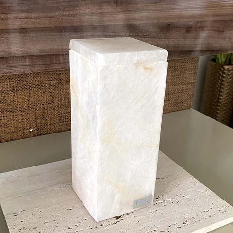 Porta Escova alto com tampa - VISION