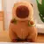 Capybara Anime de pelúcia fofa, pelúcia kawaii, bichos de pelúcia fofos, boneca macia, presente para criança, simulação de pelúcia na internet
