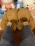 Capibala Cartoon chinelos de algodão para homens e mulheres, sapatos de pelúcia, fofos, quentes, engraçados, presentes para casa, casal, tamanho 35-41, inverno na internet