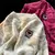 Imagem do Urso pequeno feminino Suéter de manga comprida, pulôver, malha, roupas de anim