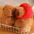 Capybara Anime de pelúcia fofa, pelúcia kawaii, bichos de pelúcia fofos, boneca macia, presente para criança, simulação de pelúcia - comprar online