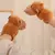 Rytanda capibara clap círculo brinquedos tapa snap envoltório pulseira bracciale capivara peluche anel de mão diversão pop círculos - loja online