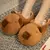 Chinelos de pelúcia para casa, sapatos antiderrapantes, chinelos quentes, macio, fofo, adorável, capivara, inverno, interior - loja online