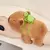 Rytanda capibara clap círculo brinquedos tapa snap envoltório pulseira bracciale capivara peluche anel de mão diversão pop círculos