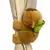 Imagem do Rytanda capibara clap círculo brinquedos tapa snap envoltório pulseira bracciale capivara peluche anel de mão diversão pop círculos