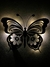 Mariposa