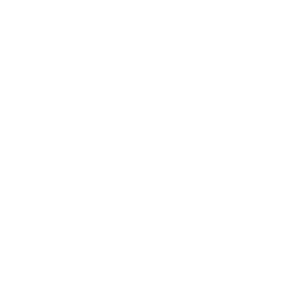 Globz company