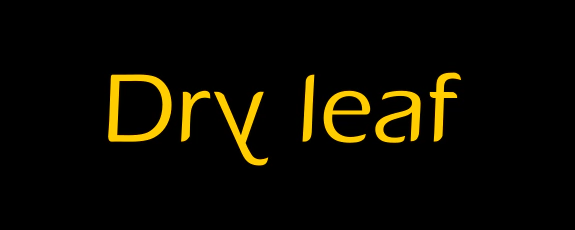 dry leaf