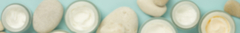 Banner de la categoría Grasa