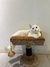 Rascador asiento - comprar online