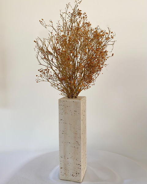 ARRANJO FRENTE ÚNICA | Trama