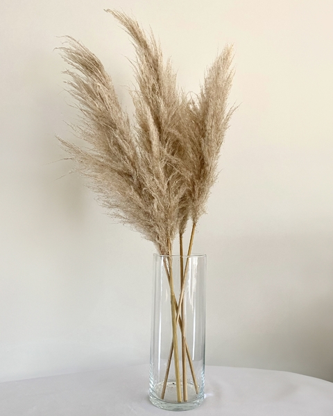 Capim dos Pampas | Vaso 30 cm + Hastes 90 cm