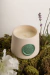 Vela aromática da Domus Vitalis em um suporte de cerâmica com selo verde, cercada por musgo e flores. Inspirada no acorde chipre criado por François Coty