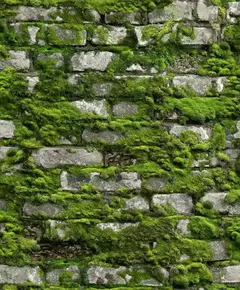 Papel De Parede Struktura 45731 - comprar online