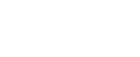 Use Vinte & Quatro