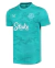 Camisa Everton Goleiro II 24/25 - Torcedor Castore Masculina - Verde