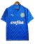 Camisa Palmeiras Goleiro 24/25 - Torcedor Puma Masculina - Azul