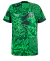 Camisa Nigéria Home 22/23 Torcedor Nike Masculina - Verde