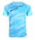 Camisa Corinthians Goleiro 24/25 Torcedor Nike Masculina - Azul - comprar online