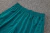 Conjunto Portugal Treino 24/25 - Masculino Nike Zipper curto - Verde com detalhes em verde claro e calça verde - online store
