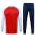 Conjunto Arsenal Treino 24/25 - Masculino Adidas - Vermelho e azul - comprar online
