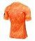 Camisa Atlético de Madrid Goleiro 24/25 - Torcedor Nike Masculina - Laranja - comprar online