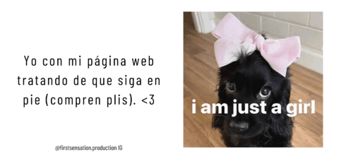 Imagen del carrusel First Sensation Production