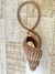 Bolsa Concha Encanto