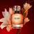 L´Interdit EDP