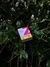 Essência Ziggy Berry 50g para Narguilé - comprar online
