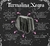 Turmalina negra - comprar online