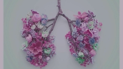 Banner de la categoría Breathwork